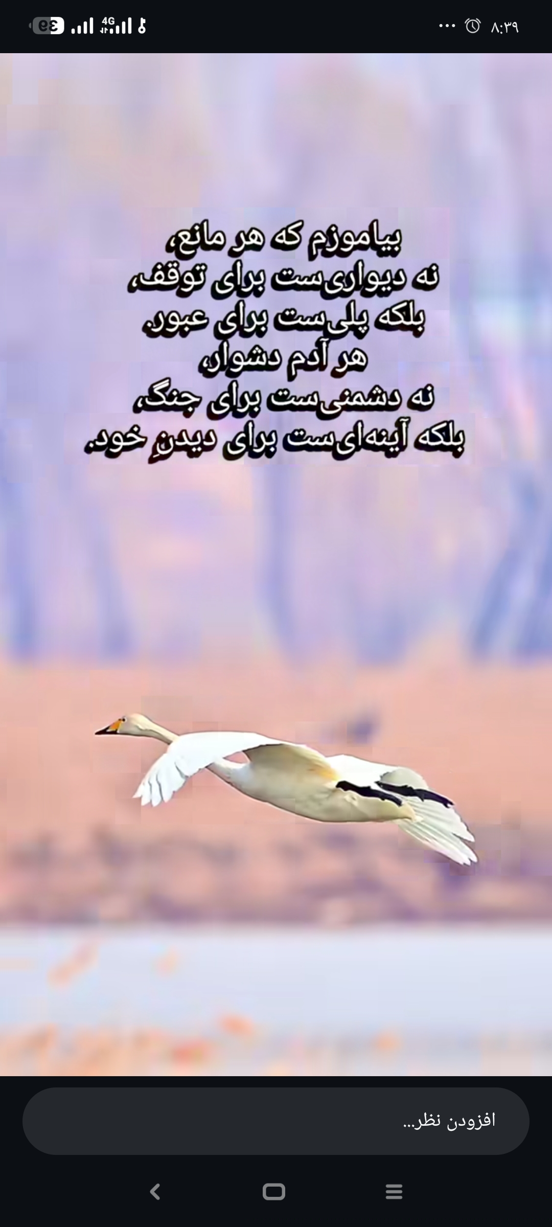 تصویر کانال