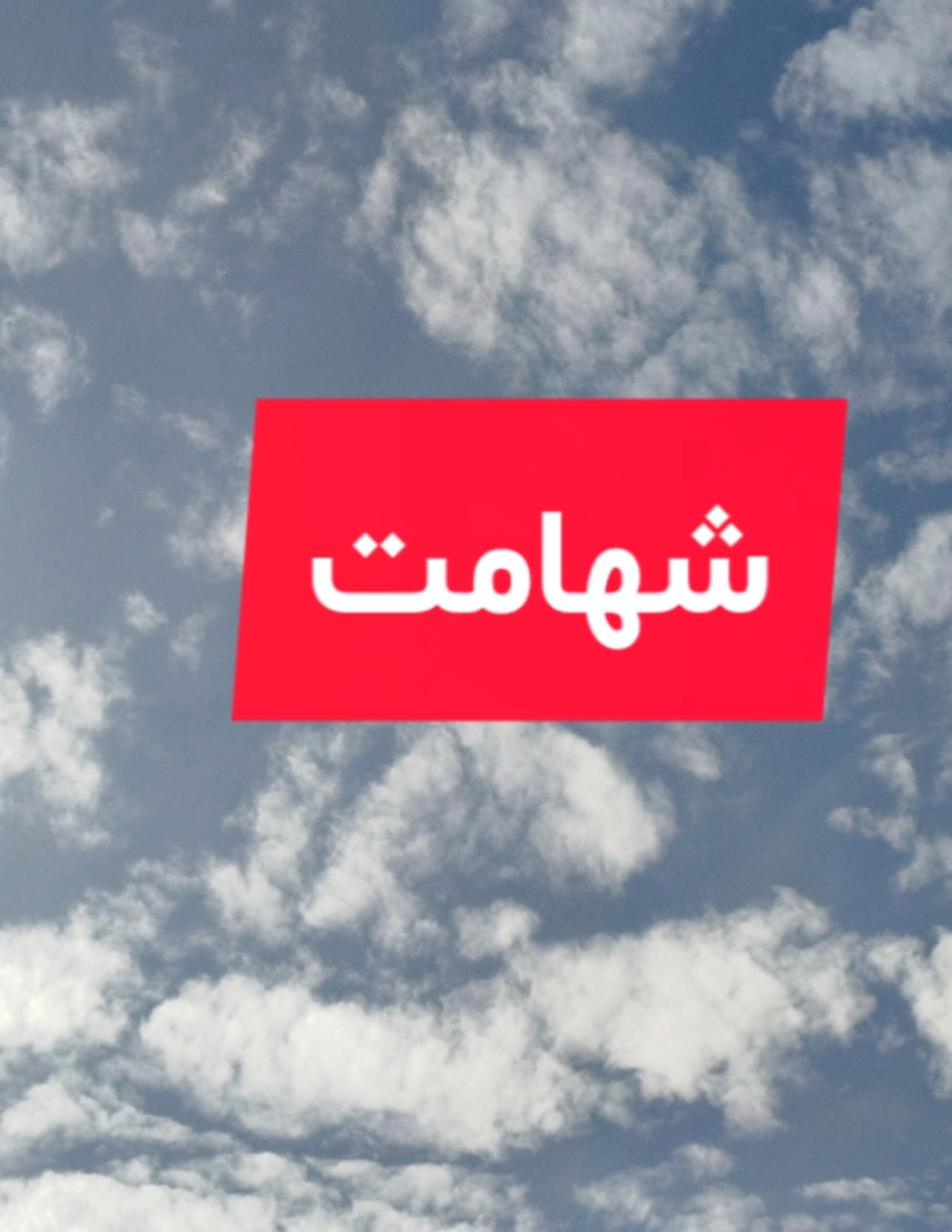 شهامت درون از دبی فورد