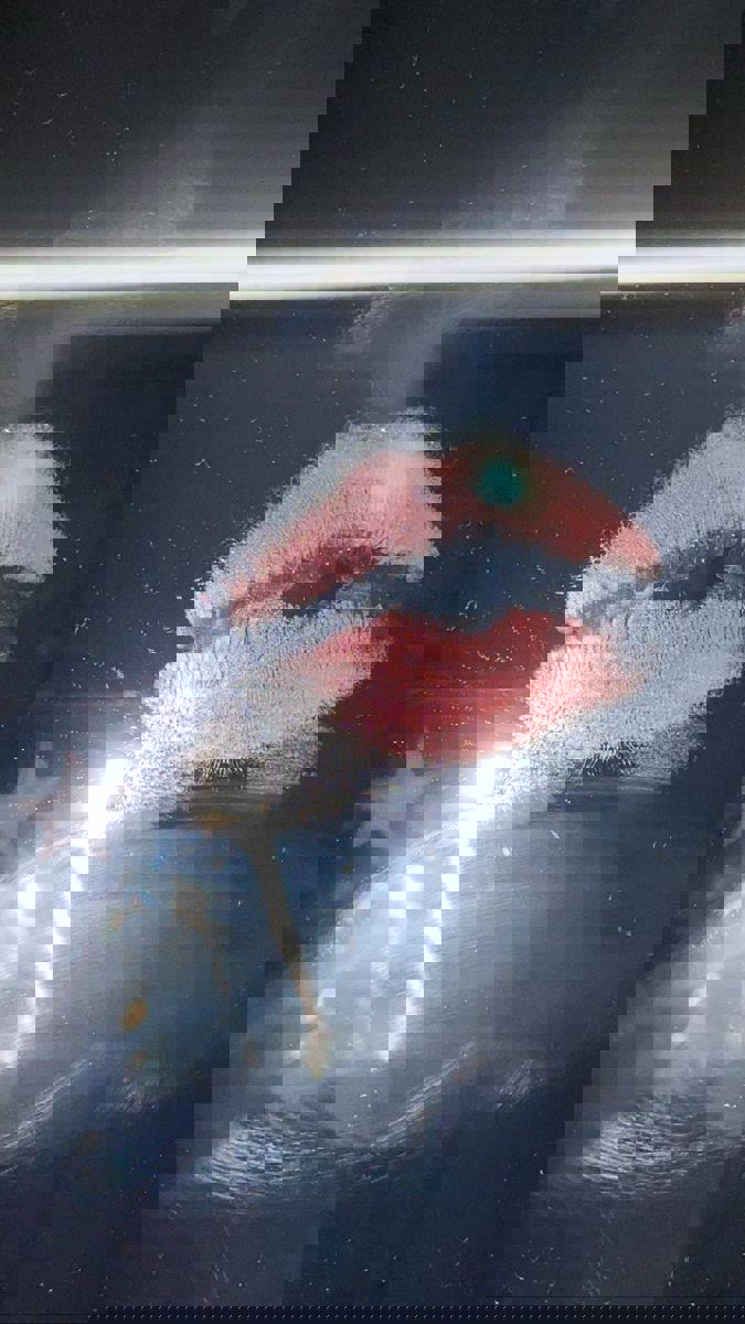 فقط بخاطر تو...